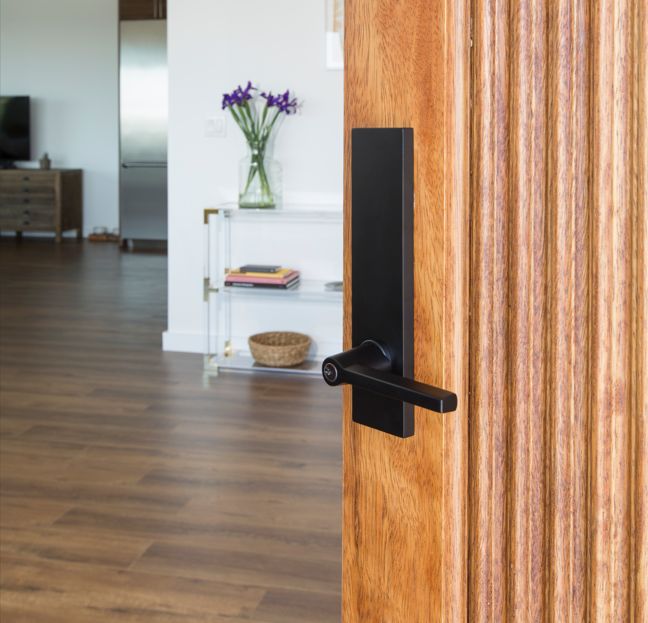 Poignée de porte moderne noire sur une porte en bois.