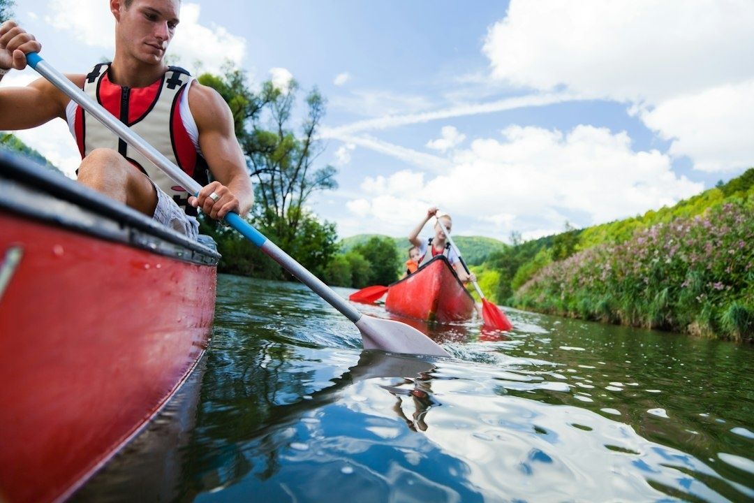 Canoéistes pagayant sur une rivière bordée de végétation